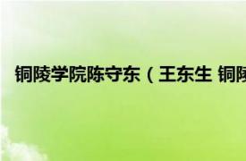 铜陵学院陈守东（王东生 铜陵学院博士 后相关内容简介介绍）