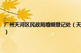 广州天河区民政局婚姻登记处（天河区民政局婚姻登记处相关内容简介介绍）