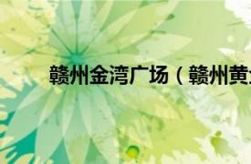 赣州金湾广场（赣州黄金广场相关内容简介介绍）