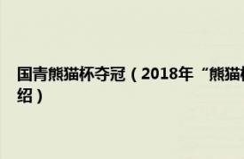 国青熊猫杯夺冠（2018年“熊猫杯”国际青年足球锦标赛相关内容简介介绍）