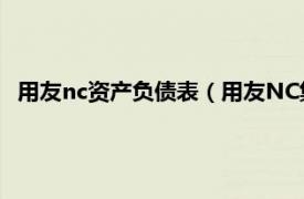 用友nc资产负债表（用友NC集团财务管理相关内容简介介绍）