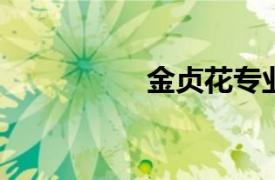 金贞花专业投资者介绍