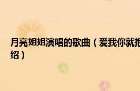 月亮姐姐演唱的歌曲（爱我你就抱抱我 月亮姐姐演唱歌曲相关内容简介介绍）