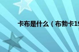 卡布是什么（布勃卡1963～相关内容简介介绍）