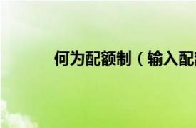 何为配额制（输入配额制相关内容简介介绍）