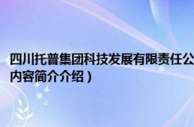 四川托普集团科技发展有限责任公司（托普集团科技发展有限责任公司相关内容简介介绍）