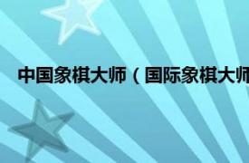 中国象棋大师（国际象棋大师 国际象棋手相关内容简介介绍）