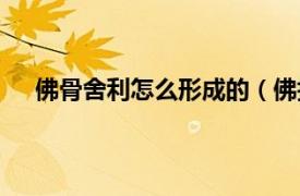 佛骨舍利怎么形成的（佛指骨舍利相关内容简介介绍）