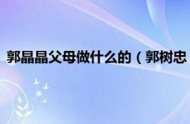 郭晶晶父母做什么的（郭树忠 郭晶晶的父亲相关内容简介介绍）