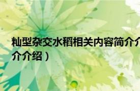 籼型杂交水稻相关内容简介介绍视频（籼型杂交水稻相关内容简介介绍）