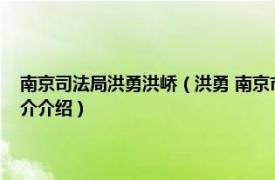 南京司法局洪勇洪峤（洪勇 南京市司法局行政审批服务处处长相关内容简介介绍）