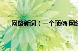 网络新词（一个顶俩 网络流行词相关内容简介介绍）