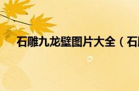 石雕九龙壁图片大全（石雕九龙壁相关内容简介介绍）