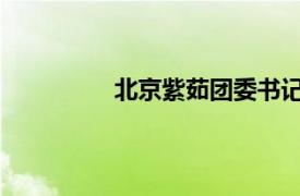 北京紫茹团委书记徐诺介绍了相关内容