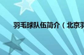 羽毛球队伍简介（北京羽毛球队相关内容简介介绍）