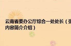 云南省委办公厅综合一处处长（张含 云南省委办公厅信息一处副处长相关内容简介介绍）