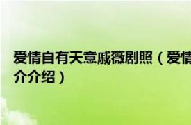 爱情自有天意戚薇剧照（爱情自有天意 戚薇演唱歌曲相关内容简介介绍）