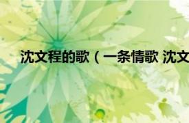 沈文程的歌（一条情歌 沈文程演唱歌曲相关内容简介介绍）