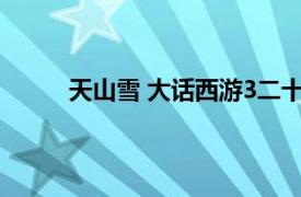 天山雪 大话西游3二十四主角相关内容简介介绍