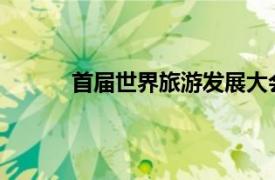 首届世界旅游发展大会相关内容简介介绍英语