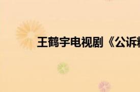 王鹤宇电视剧《公诉精英》角色相关内容介绍