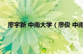 廖宇新 中南大学（廖俊 中南大学副教授相关内容简介介绍）