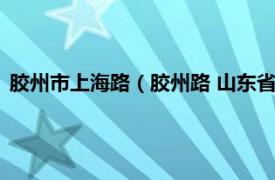 胶州市上海路（胶州路 山东省威海市胶州路相关内容简介介绍）