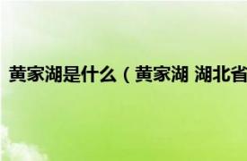 黄家湖是什么（黄家湖 湖北省武汉市黄家湖相关内容简介介绍）