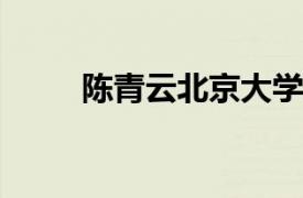 陈青云北京大学政府管理学院教授