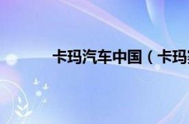 卡玛汽车中国（卡玛赛车相关内容简介介绍）