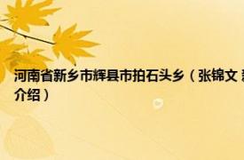 河南省新乡市辉县市拍石头乡（张锦文 新乡辉县市拍石头乡中心小学教师相关内容简介介绍）