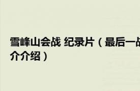 雪峰山会战 纪录片（最后一战：中日雪峰山会战纪实相关内容简介介绍）