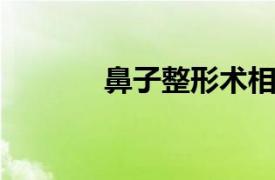 鼻子整形术相关内容简介介绍