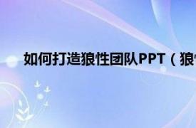 如何打造狼性团队PPT（狼性营销团队相关内容简介介绍）