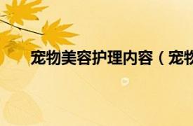 宠物美容护理内容（宠物美容所相关内容简介介绍）