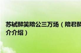 苏轼醉笑陪公三万场（陪君醉笑三千场 北宋苏轼词作相关内容简介介绍）