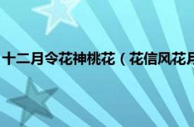 十二月令花神桃花（花信风花月令十二月花神相关内容简介介绍）