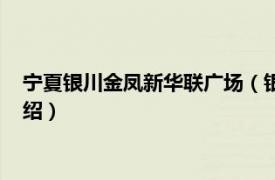 宁夏银川金凤新华联广场（银川金凤新华联广场相关内容简介介绍）