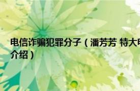 电信诈骗犯罪分子（潘芳芳 特大电信网络诈骗犯罪在逃人员相关内容简介介绍）