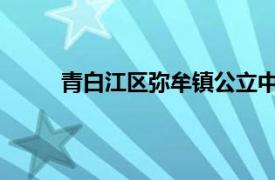 青白江区弥牟镇公立中心卫生院医务科科长简介