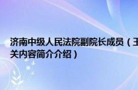 济南中级人民法院副院长成员（王成 山东省济南市中级人民法院副院长相关内容简介介绍）