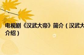 电视剧《汉武大帝》简介（汉武大帝 2005年胡玫执导电视剧相关内容简介介绍）