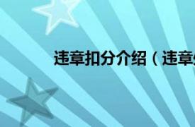 违章扣分介绍（违章处理相关内容简介介绍）