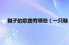 鞋子的歌曲有哪些（一只鞋 星演唱歌曲相关内容简介介绍）