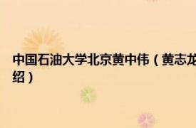 中国石油大学北京黄中伟（黄志龙 中国石油大学 北京教授相关内容简介介绍）