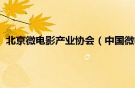 北京微电影产业协会（中国微电影产业联盟相关内容简介介绍）