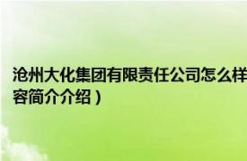 沧州大化集团有限责任公司怎么样（河北沧州大化集团有限责任公司相关内容简介介绍）