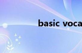 basic vocabulary的特点