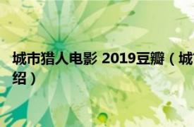 城市猎人电影 2019豆瓣（城市猎人 2018年电影相关内容简介介绍）