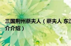 三国荆州蔡夫人（蔡夫人 东汉末年荆州牧刘表的后妻相关内容简介介绍）